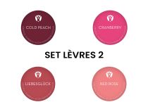 Pigments pour Maquillage Permanent PUREBEAU stériles 10ml - Set Lèvres 2 - 4 Pcs