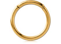 Anneau Charnière Titane PVD Gold Stérile | Itc