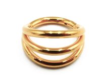 Anneau Charnière Titane PVD Gold Stérile motif Triple | Itc