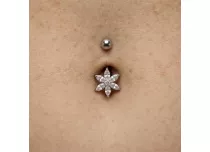 Banane acier fleur 6 pétales multi strass | iTC