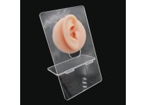 Présentoir silicone oreille | iTC