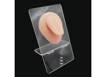 Présentoir silicone langue | iTC