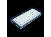 Boite de 40 Stud de nez en Acier avec Cristal | Itc
