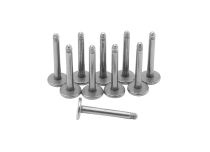 Lot de Labret Titane sans Boule | Itc